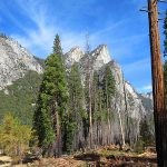 Yosemite Valley in late morning. – photo by Joe Alexander