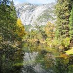 Yosemite Valley in late morning. – photo by Joe Alexander