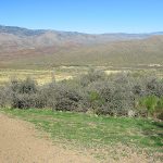 Central Arizona between Phoenix and Flagstaff. - photo by Joe Alexander