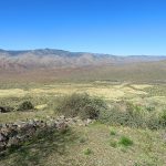 Central Arizona between Phoenix and Flagstaff. - photo by Joe Alexander