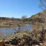 Montezuma Castle National Monument is a park near Camp Verde, Arizona, that includes cliff dwellings. – photo by Joe Alexander