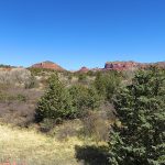 Iron gives the red color to the famous rocky terrain of the area around Sedona, Arizona. – photo by Joe Alexander