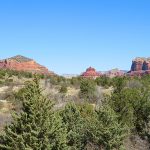Iron gives the red color to the famous rocky terrain of the area around Sedona, Arizona. – photo by Joe Alexander
