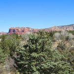 Iron gives the red color to the famous rocky terrain of the area around Sedona, Arizona. – photo by Joe Alexander