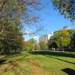 Citizens of Boston purchased the land for Boston Common almost 400 years ago. – photo by Joe Alexander