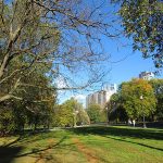 Citizens of Boston purchased the land for Boston Common almost 400 years ago. – photo by Joe Alexander