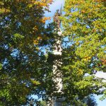 Citizens of Boston purchased the land for Boston Common almost 400 years ago. – photo by Joe Alexander