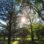 Citizens of Boston purchased the land for Boston Common almost 400 years ago. – photo by Joe Alexander