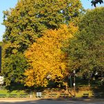 Citizens of Boston purchased the land for Boston Common almost 400 years ago. – photo by Joe Alexander