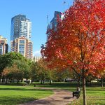 Citizens of Boston purchased the land for Boston Common almost 400 years ago. – photo by Joe Alexander