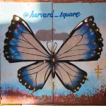 Cambridge, Massachusetts. – photo by Joe Alexander