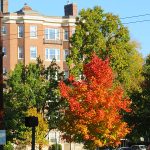 Cambridge, Massachusetts. – photo by Joe Alexander