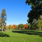 Cambridge, Massachusetts. – photo by Joe Alexander