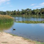 Rocky Mountain Lake Park in Denver, Colorado, in late August 2024. - photo by Joe Alexander
