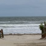 Stone Harbor, New Jersey in late September 2024. - photo by Joe Alexander