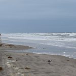 Stone Harbor, New Jersey in late September 2024. - photo by Joe Alexander