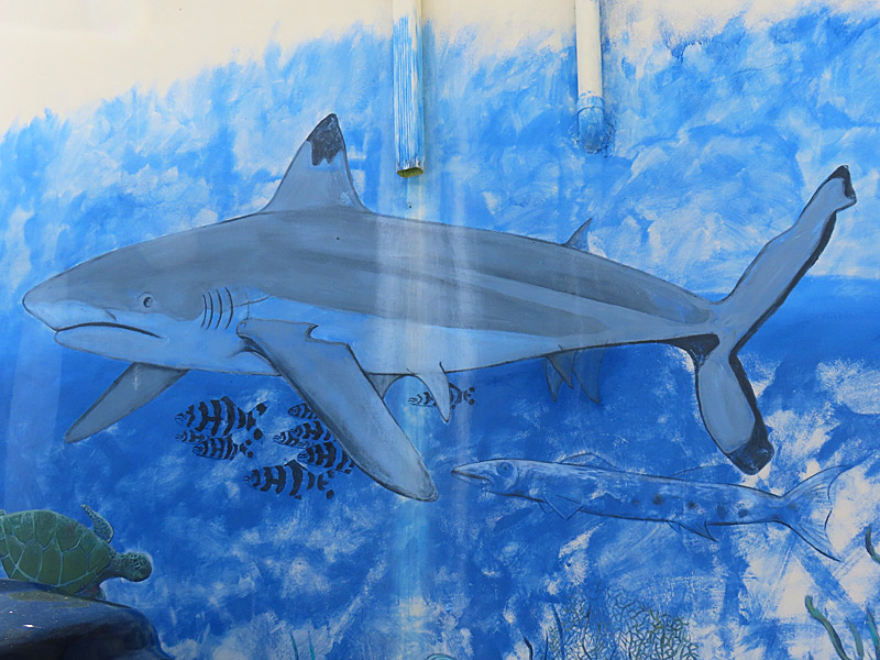 Mural in Fort Lauderdale near the beach. - photo by Joe Alexander
