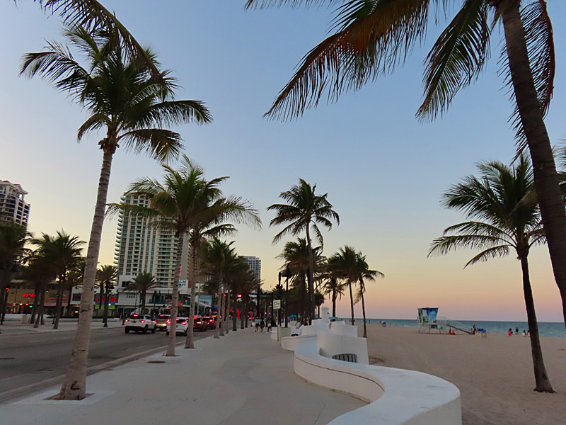 Cars drive past the beach on one side and bars, restaurants and high rises on the other on Highway A1A in Fort Lauderdale Beach in April 2025.
