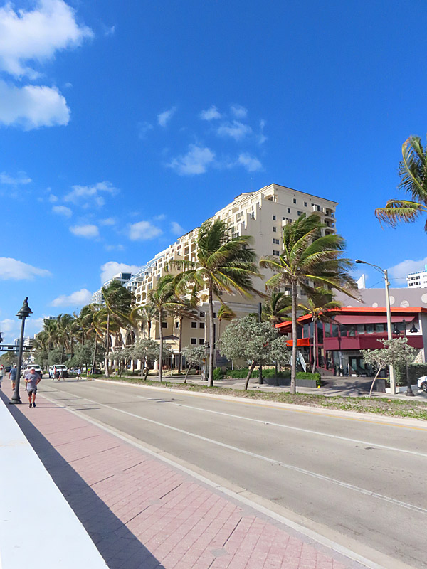 Palm trees sway in the breeze off the Atlantic Ocean along Highway A1A in Fort Lauderdale Beach. - photo by Joe Alexander