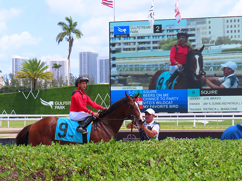 Squire ridden by jockey Joe Bravo won the second race at Gulfstream Park on Friday, April 18, 2025. - photo by Joe Alexander