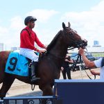 Squire ridden by jockey Joe Bravo won the second race at Gulfstream Park on Friday, April 18, 2025. - photo by Joe Alexander