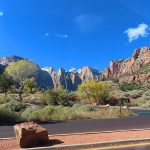 Fall colors in Zion National Park in southwestern Utah in November 2023. – photo by Joe Alexander, all rights reserved