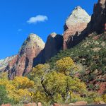 Fall colors in Zion National Park in southwestern Utah in November 2023. – photo by Joe Alexander, all rights reserved