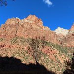 Fall colors in Zion National Park in southwestern Utah in November 2023. – photo by Joe Alexander, all rights reserved