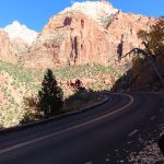 Fall colors in Zion National Park in southwestern Utah in November 2023. – photo by Joe Alexander, all rights reserved