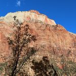 Fall colors in Zion National Park in southwestern Utah in November 2023. – photo by Joe Alexander, all rights reserved
