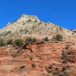 Fall colors in Zion National Park in southwestern Utah in November 2023. – photo by Joe Alexander, all rights reserved