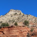 Fall colors in Zion National Park in southwestern Utah in November 2023. – photo by Joe Alexander, all rights reserved