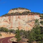 Fall colors in Zion National Park in southwestern Utah in November 2023. – photo by Joe Alexander, all rights reserved