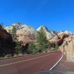 Fall colors in Zion National Park in southwestern Utah in November 2023. – photo by Joe Alexander, all rights reserved