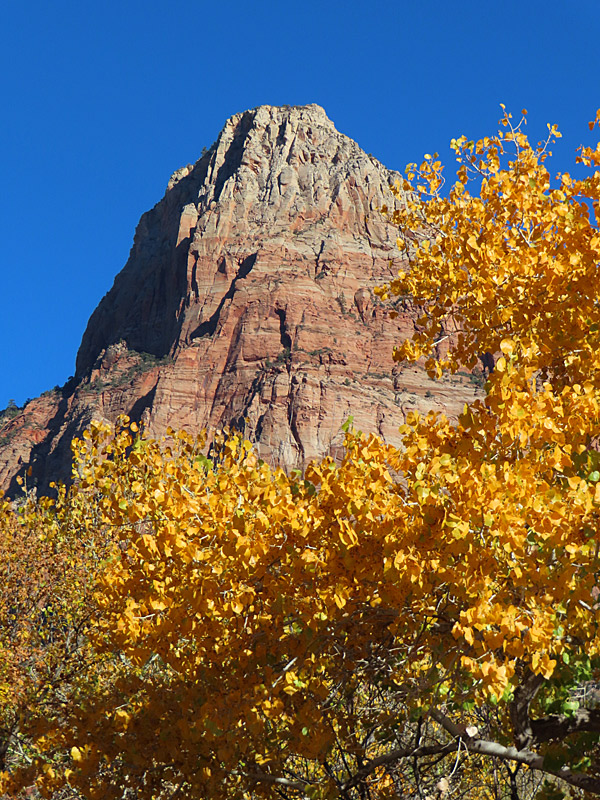 This is one of the first views you have from the Zion National Park visitor’s center near Springdale, Utah.
- photo by Joe Alexander, all rights reserved
