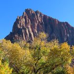 Fall colors in Zion National Park in southwestern Utah in November 2023. – photo by Joe Alexander, all rights reserved