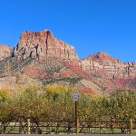 Fall colors in Zion National Park in southwestern Utah in November 2023. – photo by Joe Alexander, all rights reserved