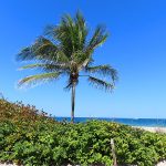 The beach just north of Las Olas Boulevard at Fort Lauderdale Beach, Florida, in April 2025. - photo by Joe Alexander