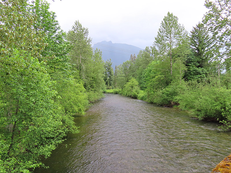 The South Fork Snoqualmie River near North Bend, Washington, about 30 miles east of Seattle, in May 2025. - photo by Joe Alexander