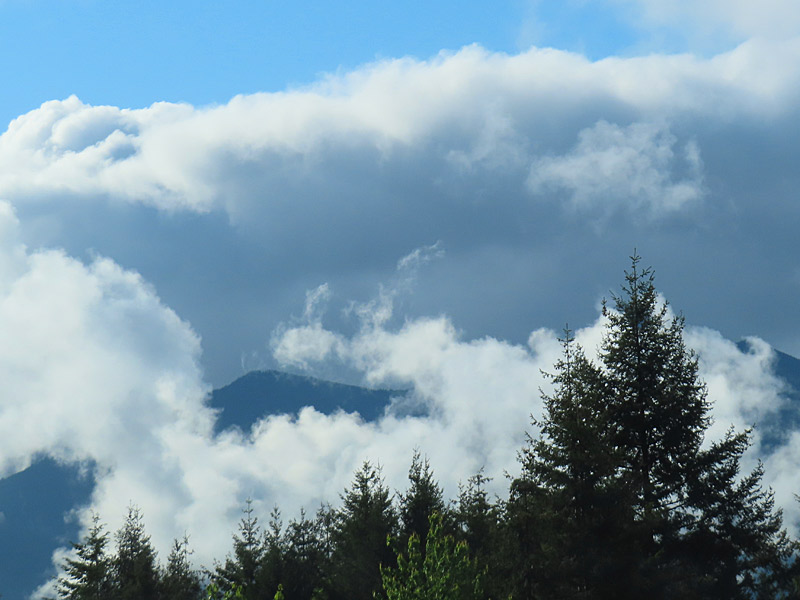 Scenery in western Washington state not far from Seattle. - photo by Joe Alexander