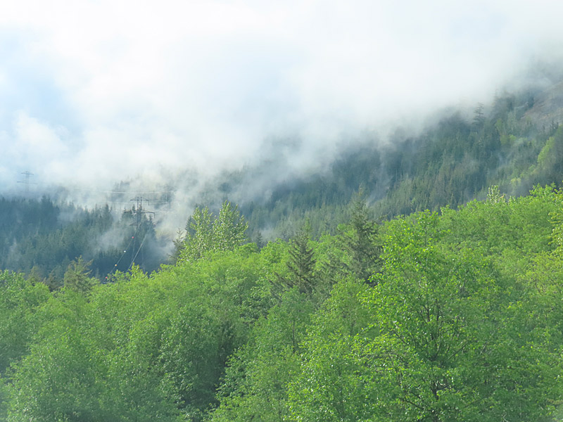 Scenery in western Washington state not far from Seattle. - photo by Joe Alexander
