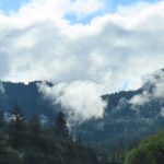 Scenery in western Washington state not far from Seattle. - photo by Joe Alexander