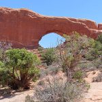 Arches National Park in southern Utah in April, 2023. - photo by Joe Alexander