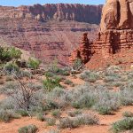 Arches National Park in southern Utah in April, 2023. - photo by Joe Alexander