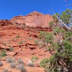 Arches National Park in southern Utah in April, 2023. - photo by Joe Alexander