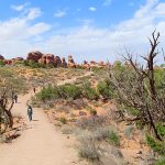 Arches National Park in southern Utah in April, 2023. - photo by Joe Alexander