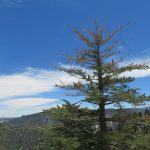 Big Bear Lake is in the San Bernardino Mountains of Southern California. – photos by Joe Alexander