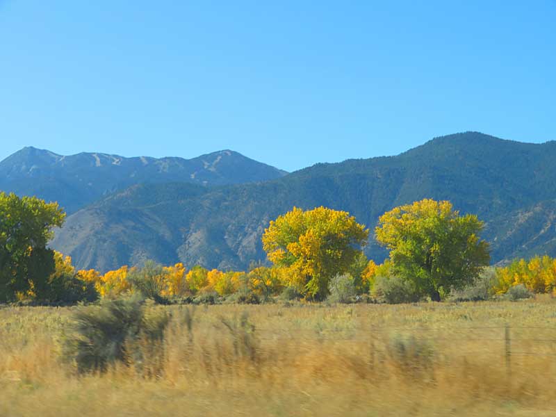 The drive south on Highway 395 in eastern California in late October looks like the setting from an old western movie. The highway rolls from the Nevada border near Lake Tahoe down to Mono Lake and crosses the road leading into Yosemite National Park. – photo by Joe Alexander