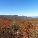 The Cleveland National Forest is made up of 460,000 acres in Southern California northeast of San Diego. - photo by Joe Alexander