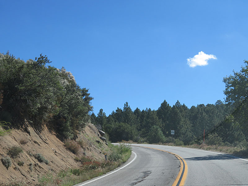The Cleveland National Forest is made up of 460,000 acres in Southern California northeast of San Diego. This is the road to Mount Laguna. From the southern end of this area, you can see into Mexico. – photo by Joe Alexander